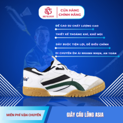 Picture of Giày Cầu Lông Lining AAYT001-3