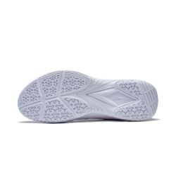 Picture of Giày Cầu Lông Lining AAYT001-3